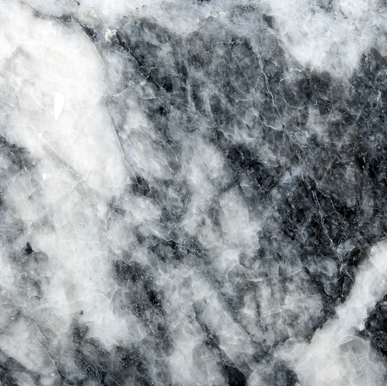 Shadow Grey Edition Classic