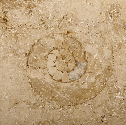 Jura Marble Edition Compact